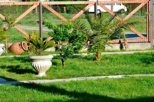 Hostal Hotel Ldzaa