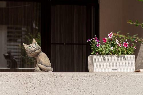 Hotel Pitsunda Cat