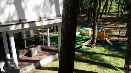 Hotel Pitsunda Cat