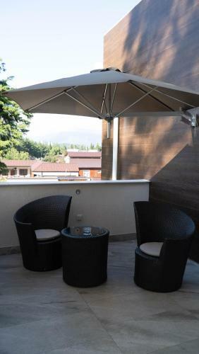 Hotel Pitsunda Cat