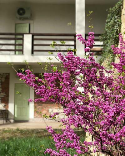 Hotel Heliopark Gora Bagrata