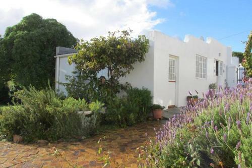 Bosky Dell On Boulders Beach
