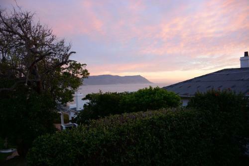 Bosky Dell On Boulders Beach