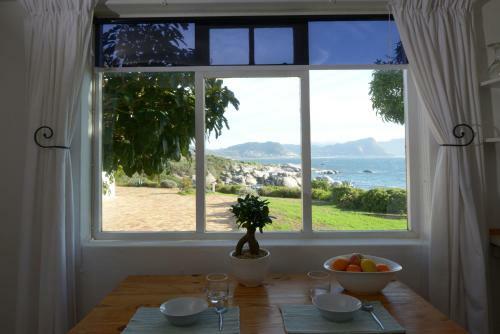 Bosky Dell On Boulders Beach