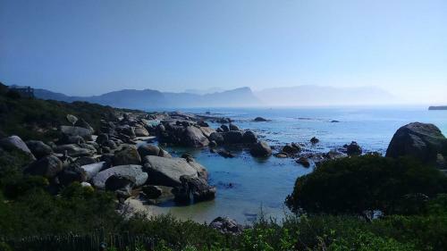 Bosky Dell On Boulders Beach