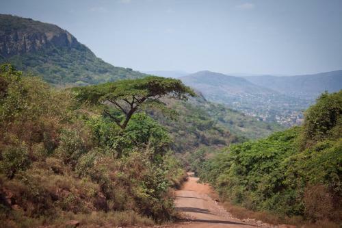 Lodge Fundudzi Cultural Camp