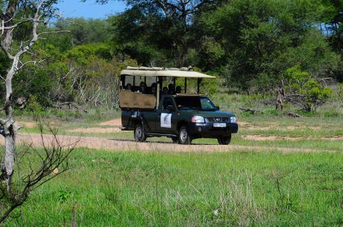 Timbavati Safari Lodge