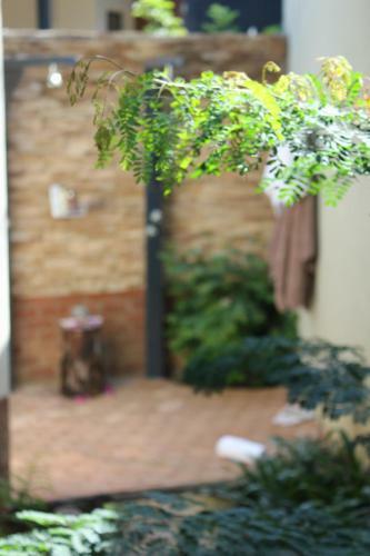 Zimbi Lodge