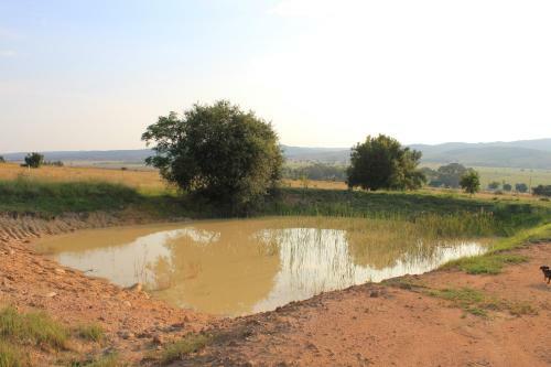 Zimbi Lodge
