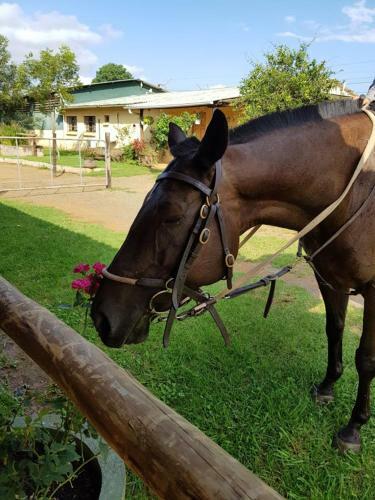 Agroturismo The Hay Barn