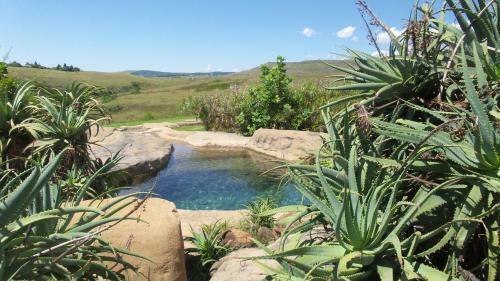 Wits End Mountain Resort