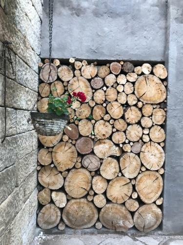 Hostal Florence Guest Farm