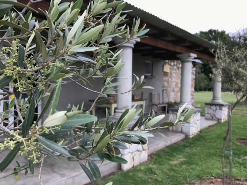 Hostal Florence Guest Farm