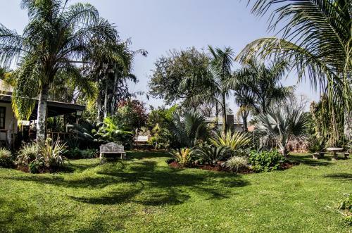 Hostal Dei Gratia Guest House