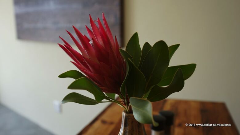 Bed & Breakfast Stellar Overberg Travellers Lodge