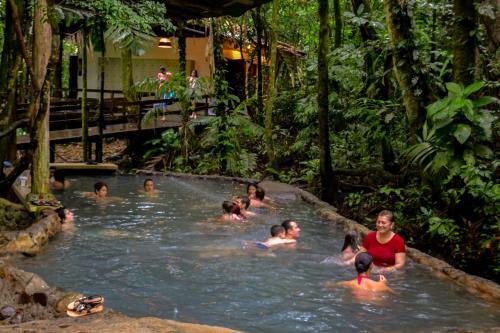 Hotel Termales Del Bosque