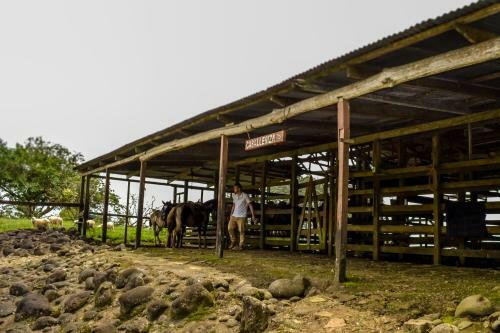 Hotel Termales Del Bosque
