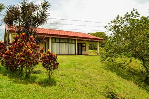 Hotel Termales Del Bosque