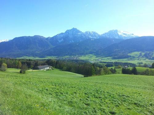 Apartamento Ferienwohnung Nitzinger