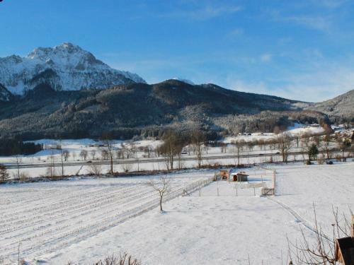 Apartamento Ferienwohnung Nitzinger
