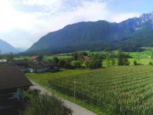 Apartamento Ferienwohnung Nitzinger