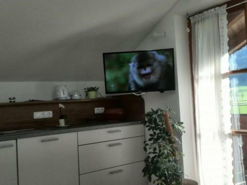 Apartamento Ferienwohnung Nitzinger