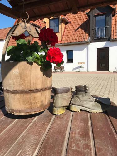 Hostal Radler's Hof