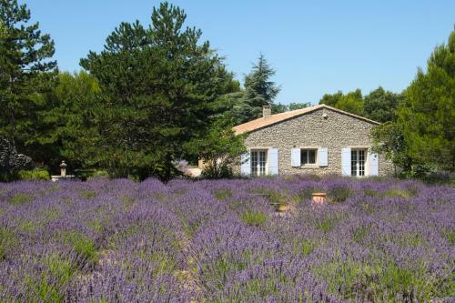 Lacoste Villa Sleeps 6 Pool Wifi