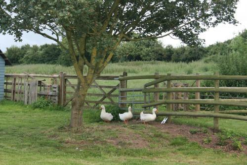 Bed & Breakfast Greenway Farm