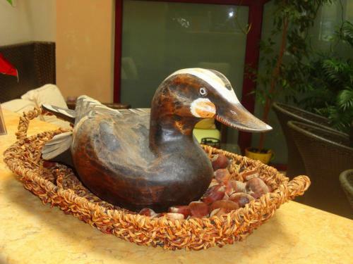 Hostal ??????? ??????/lirio Guest House