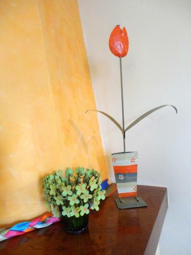 Hostal ??????? ??????/lirio Guest House
