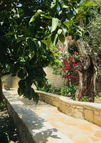 Isabella Paxos Holidays