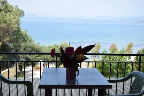 Apartamento Angelica