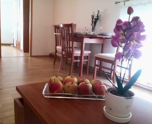 Hostal Guest House Domig