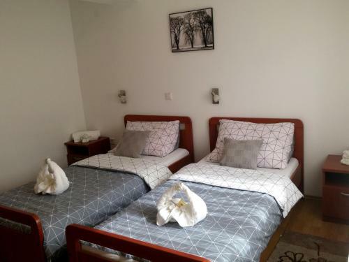 Hostal Guest House Domig