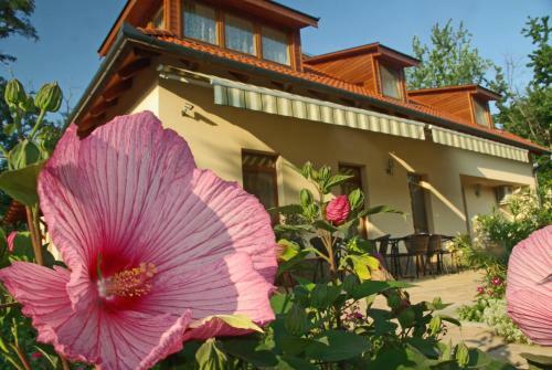 Bed & Breakfast Relaxo Apartmanh�z