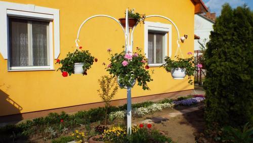 Apartamento Marg� Vend�gh�z