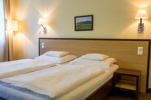 Tokajv�r Hotel