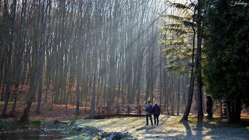 Hotel Galcsik Fogad�