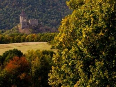 Hotel Galcsik Fogad�