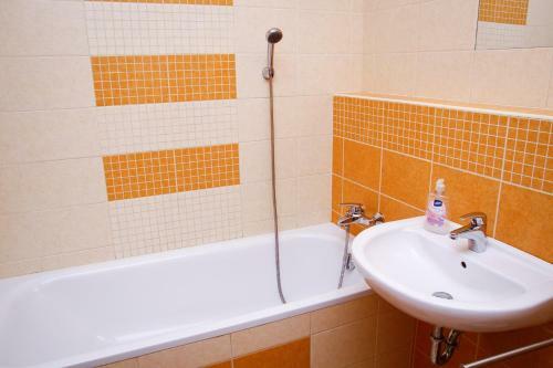 Apartment In Siofok/balaton 26756