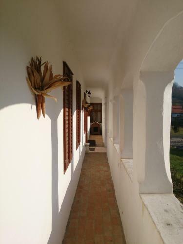 Berki Porta Vend�gh�z
