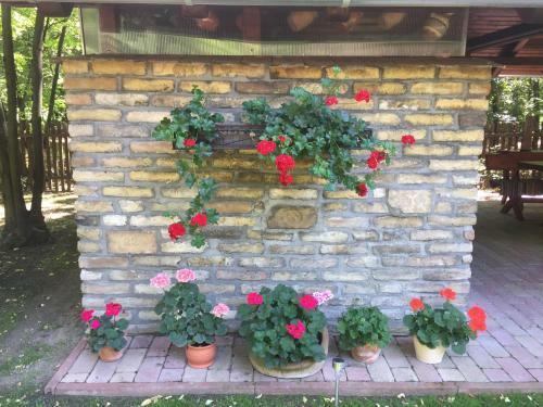 V�ndor Tanya