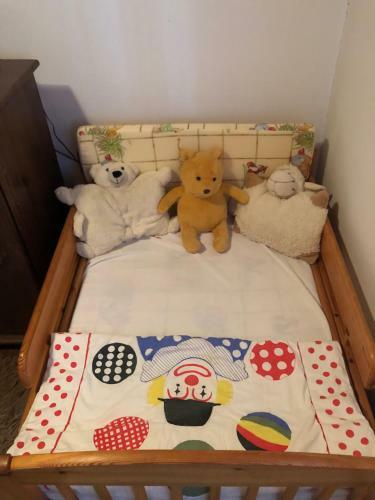 V�ndor Tanya