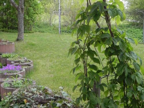 Apartamento Ferienwohnung Beck