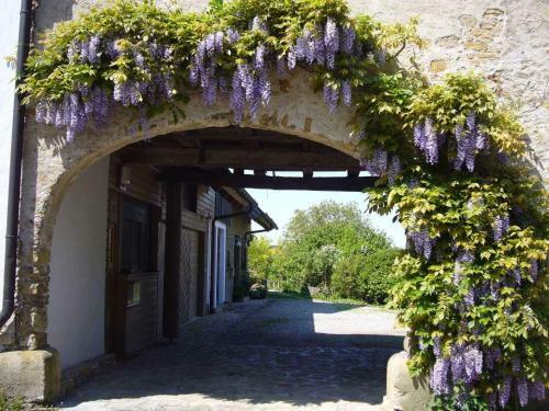 Hotel Silvia Krafts Bed And Breakfast