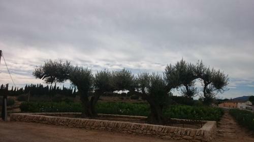 Agroturismo Mas Dauden