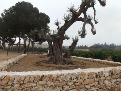 Agroturismo Mas Dauden