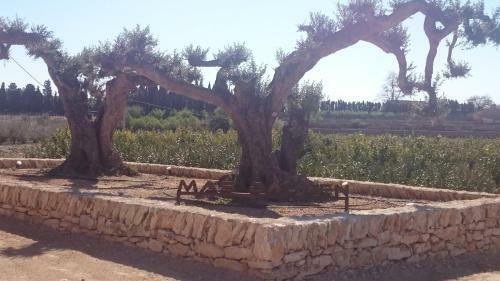 Agroturismo Mas Dauden