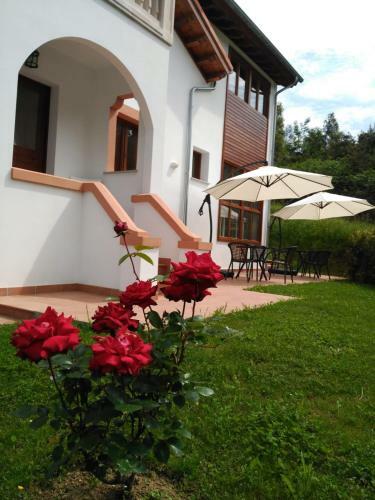 Bed & Breakfast El Cuadron